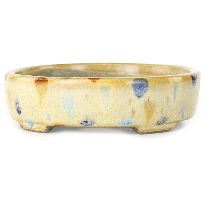 Oval beige craquelé, multicolor bonsai pot by Terahata Satomi Mazan - 140 x 115 x 30 mm