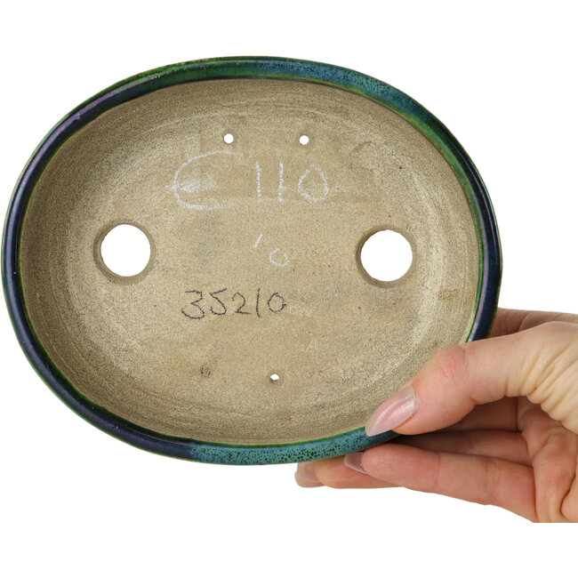 Ovaal groen met blauw accent bonsaipot van Terahata Satomi Mazan - 157 x 130 x 47 mm