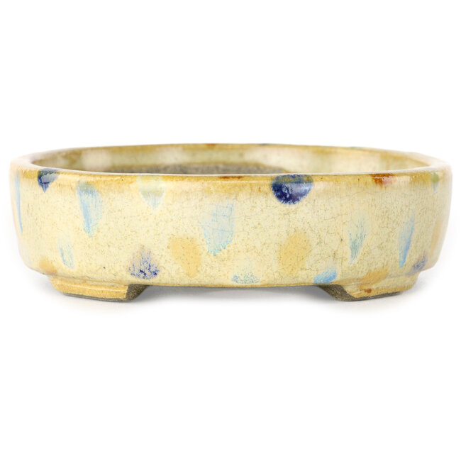 Pot à bonsaï ovale beige craquelé, multicolore par Terahata Satomi Mazan - 140 x 115 x 30 mm
