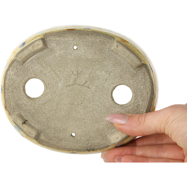 Ovale beige craquelé, veelkleurige bonsaipot van Terahata Satomi Mazan - 140 x 115 x 30 mm
