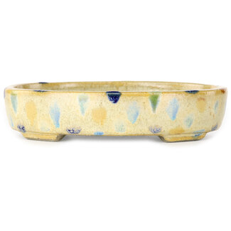  Satomi Mazan, Mazan Terahata Pot à bonsaï ovale craquelé beige 140 mm, multicolore par Terahata Satomi Mazan, Tokoname, Japon