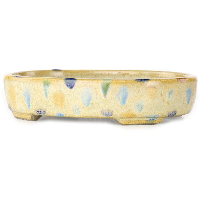 Vaso bonsai ovale beige craquelé e multicolore di Terahata Satomi Mazan - 140 x 115 x 30 mm