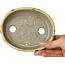 Pot à bonsaï ovale beige craquelé, multicolore par Terahata Satomi Mazan - 140 x 115 x 30 mm