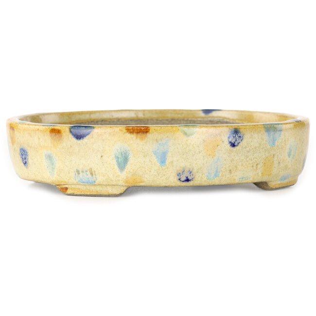 Vaso bonsai ovale beige craquelé e multicolore di Terahata Satomi Mazan - 140 x 115 x 30 mm