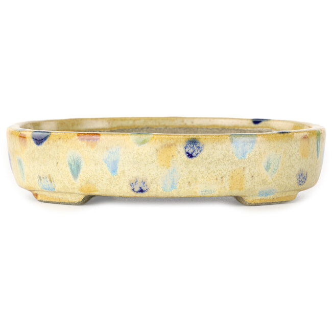 Pot à bonsaï ovale beige craquelé, multicolore par Terahata Satomi Mazan - 140 x 115 x 30 mm
