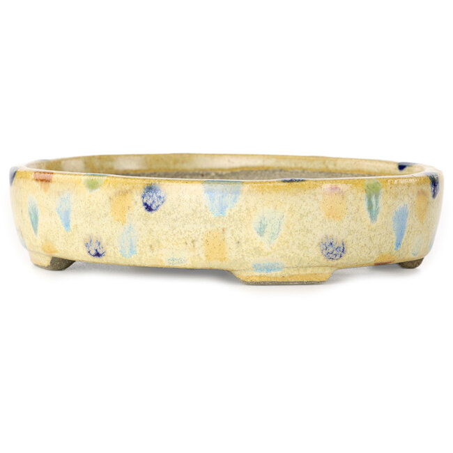 Oval beige craquelé, multicolor bonsai pot by Terahata Satomi Mazan - 140 x 115 x 30 mm