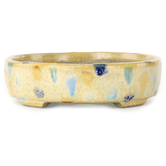 Vaso bonsai ovale beige craquelé e multicolore di Terahata Satomi Mazan - 140 x 115 x 30 mm