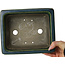 Pot à bonsaï rectangulaire vert par Terahata Satomi Mazan - 215 x 180 x 83 mm