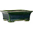 Rectangular green bonsai pot by Terahata Satomi Mazan - 215 x 180 x 83 mm