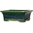Rechthoekige groene bonsaipot van Terahata Satomi Mazan - 215 x 180 x 83 mm