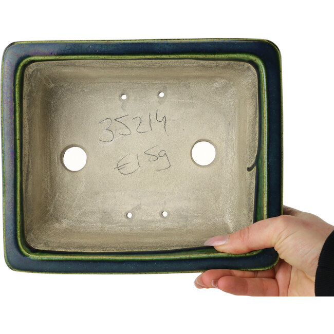 Maceta rectangular para bonsái verde de Terahata Satomi Mazan - 215 x 180 x 83 mm