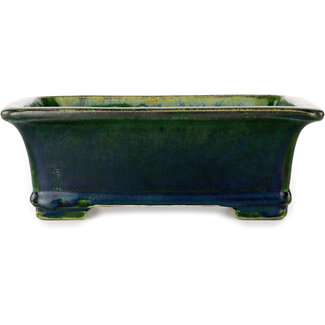  Satomi Mazan, Mazan Terahata Pot à bonsaï vert rectangulaire de 215 mm par Terahata Satomi Mazan, Tokoname, Japon