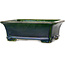 Pot à bonsaï rectangulaire vert par Terahata Satomi Mazan - 215 x 180 x 83 mm
