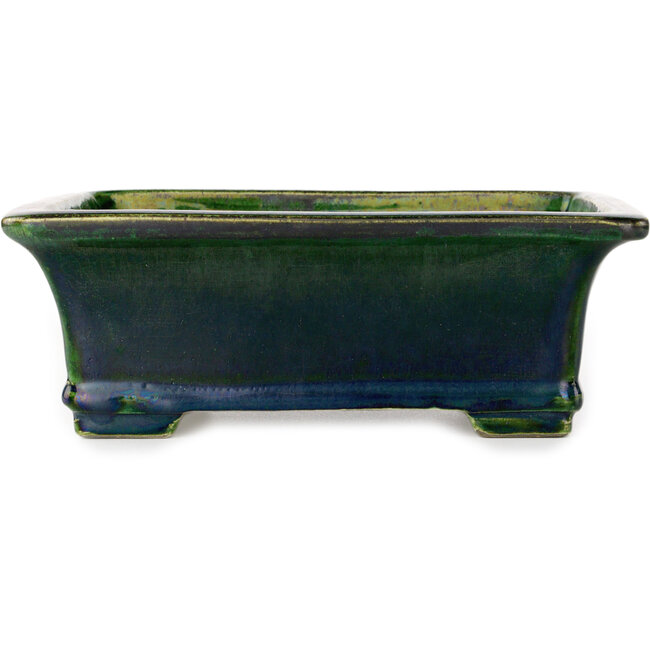 Pot à bonsaï rectangulaire vert par Terahata Satomi Mazan - 215 x 180 x 83 mm