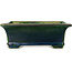 Pot à bonsaï rectangulaire vert par Terahata Satomi Mazan - 215 x 180 x 83 mm