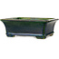 Pot à bonsaï rectangulaire vert par Terahata Satomi Mazan - 215 x 180 x 83 mm