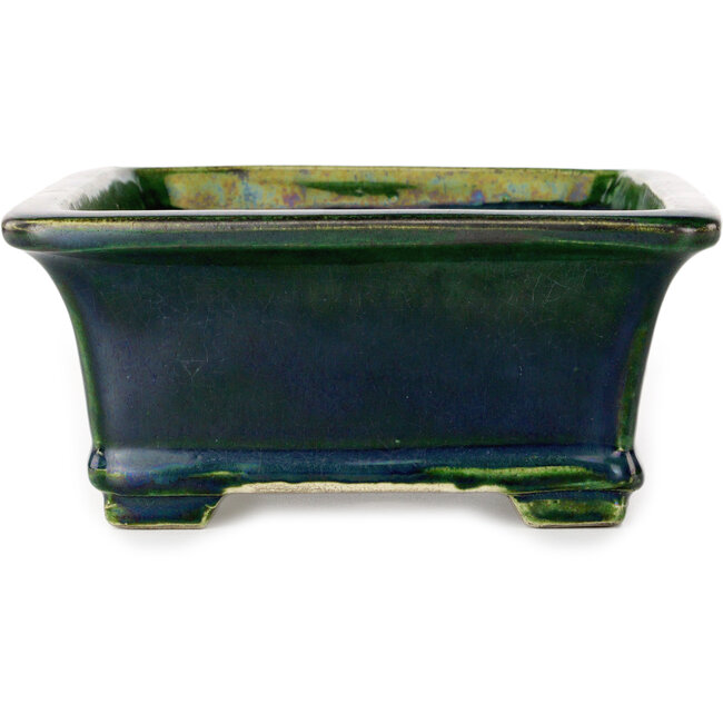 Maceta rectangular para bonsái verde de Terahata Satomi Mazan - 215 x 180 x 83 mm