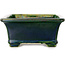 Rectangular green bonsai pot by Terahata Satomi Mazan - 215 x 180 x 83 mm