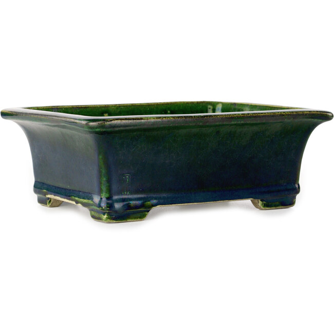 Maceta rectangular para bonsái verde de Terahata Satomi Mazan - 215 x 180 x 83 mm