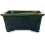 Maceta rectangular para bonsái verde de Terahata Satomi Mazan - 197 x 168 x 70 mm