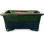 Rectangular green bonsai pot by Terahata Satomi Mazan - 197 x 168 x 70 mm
