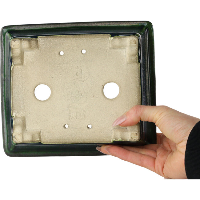 Pot à bonsaï rectangulaire vert par Terahata Satomi Mazan - 197 x 168 x 70 mm