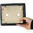 Pot à bonsaï rectangulaire vert par Terahata Satomi Mazan - 197 x 168 x 70 mm