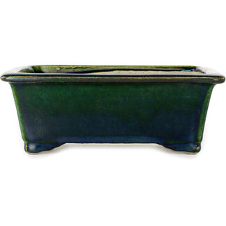  Satomi Mazan, Mazan Terahata Vaso bonsai verde rettangolare da 197 mm di Terahata Satomi Mazan, Tokoname, Giappone