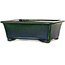 Rectangular green bonsai pot by Terahata Satomi Mazan - 197 x 168 x 70 mm
