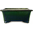 Maceta rectangular para bonsái verde de Terahata Satomi Mazan - 197 x 168 x 70 mm