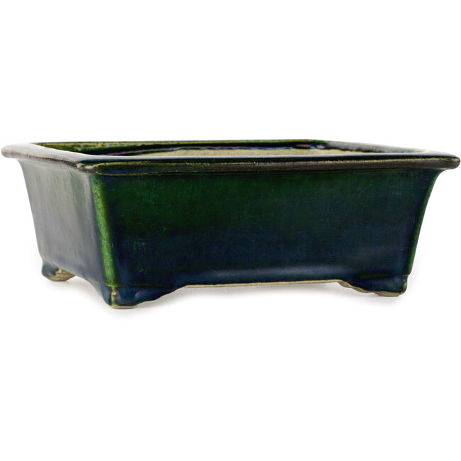 Rectangular green bonsai pot by Terahata Satomi Mazan - 197 x 168 x 70 mm