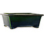 Pot à bonsaï rectangulaire vert par Terahata Satomi Mazan - 197 x 168 x 70 mm