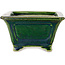 Quadratischer grüner Bonsaitopf mit blauem Akzent von Terahata Satomi Mazan – 126 x 126 x 72 mm