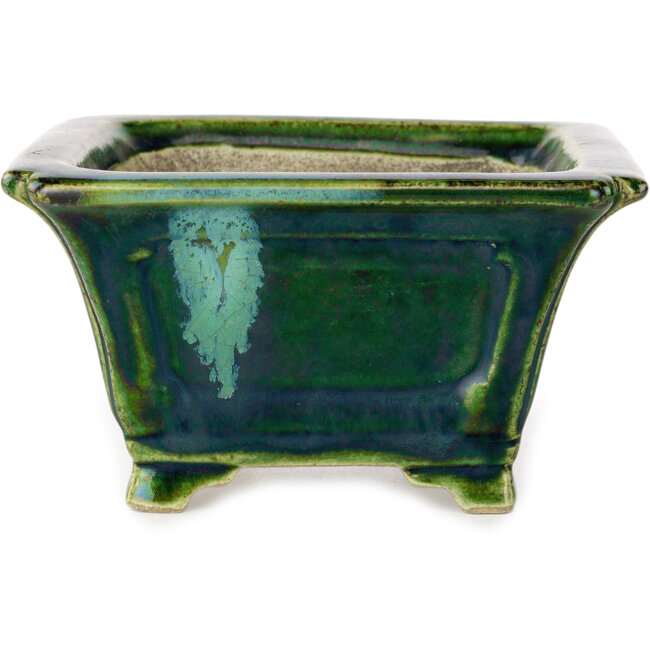 Square green with a blue accent bonsai pot by Terahata Satomi Mazan - 126 x 126 x 72 mm