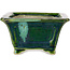 Vierkant groen met blauw accent bonsaipot van Terahata Satomi Mazan - 126 x 126 x 72 mm