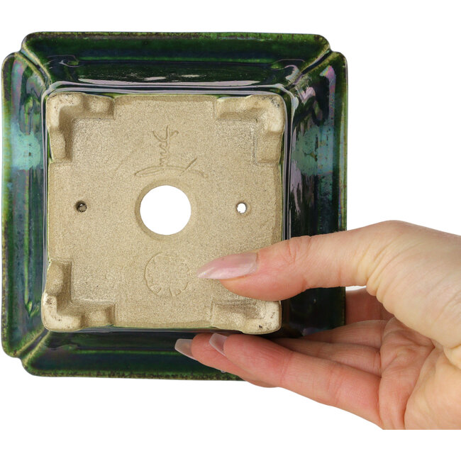 Maceta cuadrada para bonsái verde con detalles en azul de Terahata Satomi Mazan - 126 x 126 x 72 mm