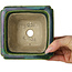 Quadratischer grüner Bonsaitopf mit blauem Akzent von Terahata Satomi Mazan – 126 x 126 x 72 mm
