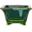 Square green with a blue accent bonsai pot by Terahata Satomi Mazan - 126 x 126 x 72 mm