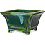 Square green with a blue accent bonsai pot by Terahata Satomi Mazan - 126 x 126 x 72 mm