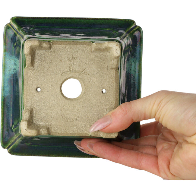Square green with a blue accent bonsai pot by Terahata Satomi Mazan - 126 x 126 x 72 mm