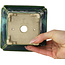 Square green with a blue accent bonsai pot by Terahata Satomi Mazan - 126 x 126 x 72 mm
