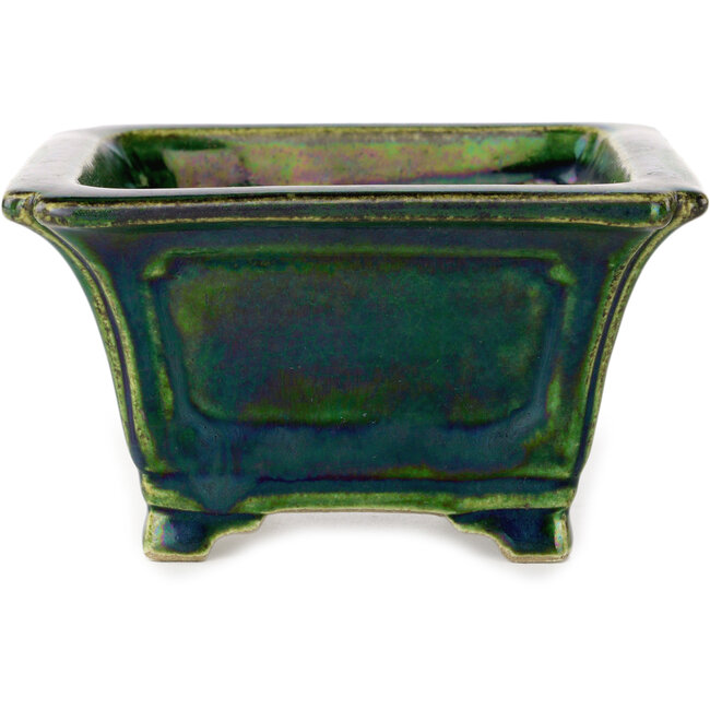 Square green with a blue accent bonsai pot by Terahata Satomi Mazan - 126 x 126 x 72 mm