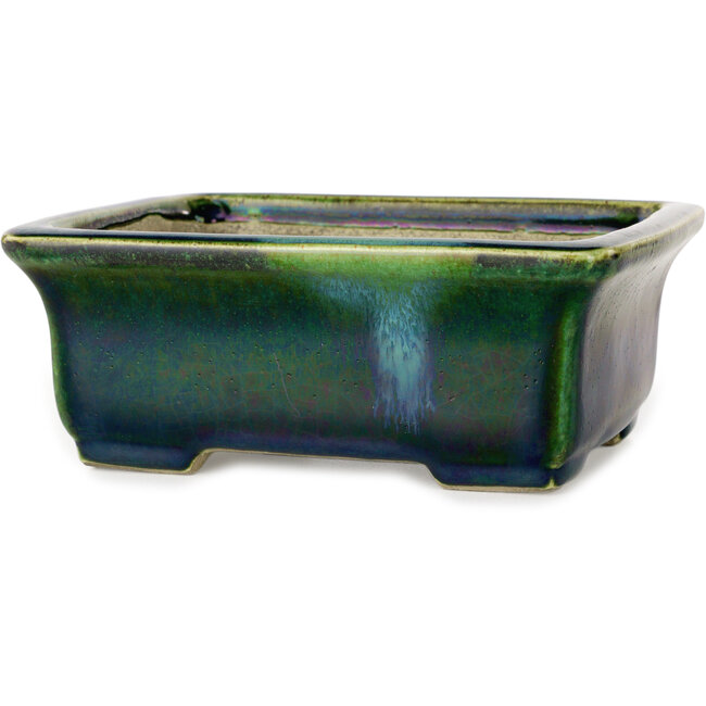Rechteckige grüne Bonsaischale mit blauem Akzent von Terahata Satomi Mazan – 165 x 135 x 65 mm