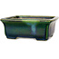 Pot à bonsaï rectangulaire vert avec accent bleu par Terahata Satomi Mazan - 165 x 135 x 65 mm