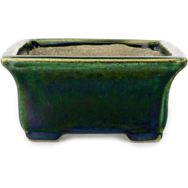Rectangular green with a blue accent bonsai pot by Terahata Satomi Mazan - 165 x 135 x 65 mm