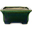 Rectangular green with a blue accent bonsai pot by Terahata Satomi Mazan - 165 x 135 x 65 mm