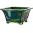 Square green with a blue accent bonsai pot by Terahata Satomi Mazan - 126 x 126 x 72 mm
