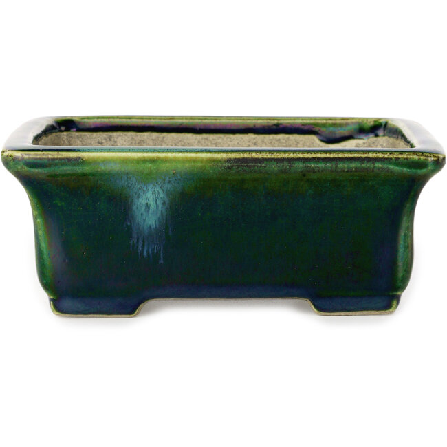 Pot à bonsaï rectangulaire vert avec accent bleu par Terahata Satomi Mazan - 165 x 135 x 65 mm