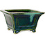 Quadratischer grüner Bonsaitopf mit blauem Akzent von Terahata Satomi Mazan – 126 x 126 x 72 mm