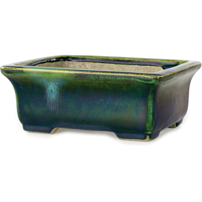 Maceta rectangular para bonsái verde con detalles en azul de Terahata Satomi Mazan - 165 x 135 x 65 mm
